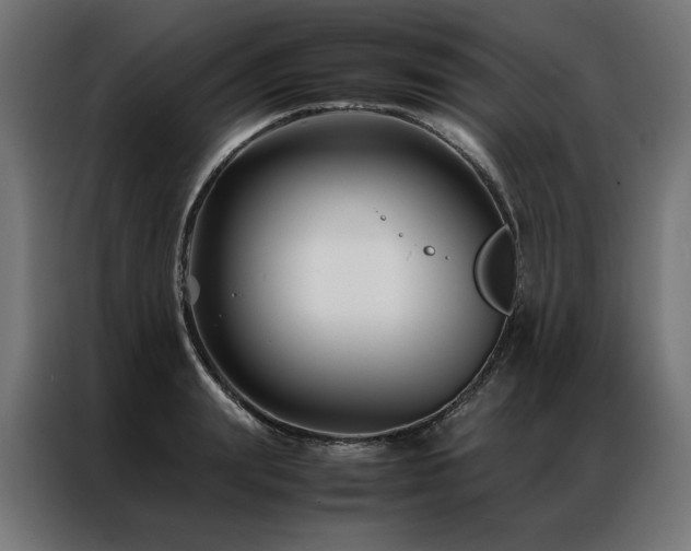 X0000086890847200704161246