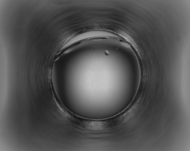 X0000086890849200704161246