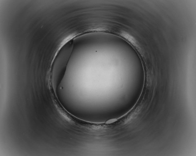 X0000086890850200704161246