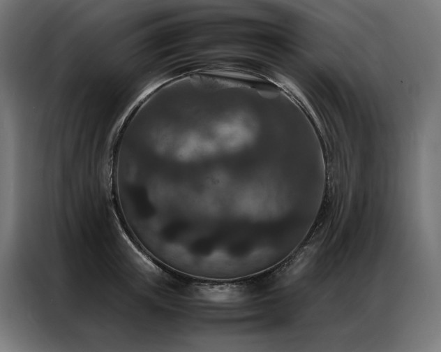 X0000086890851200704161246