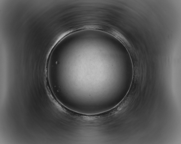 X0000086890852200704161246