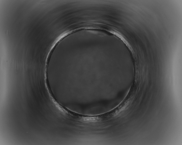 X0000086890853200704161246