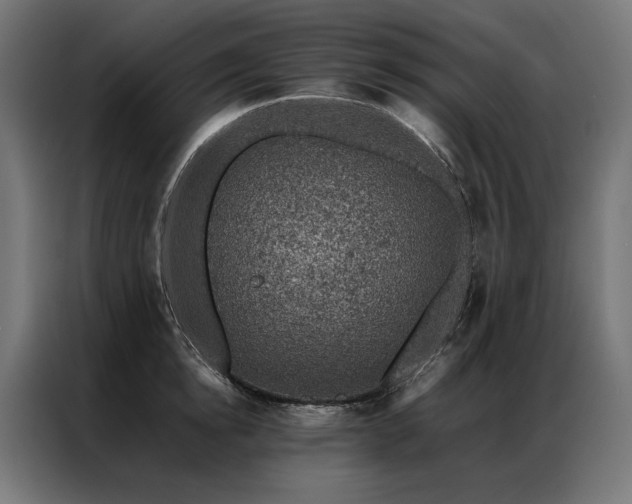 X0000086890854200704161246