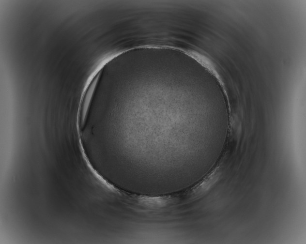 X0000086890855200704161246