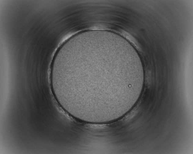 X0000086890856200704161246