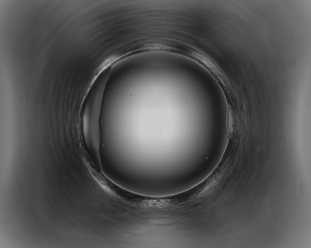 X0000086890858200704161246