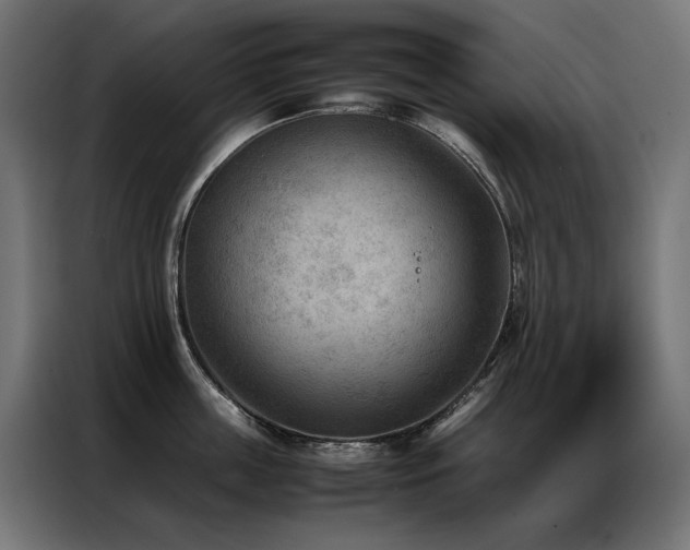 X0000086890859200704161246