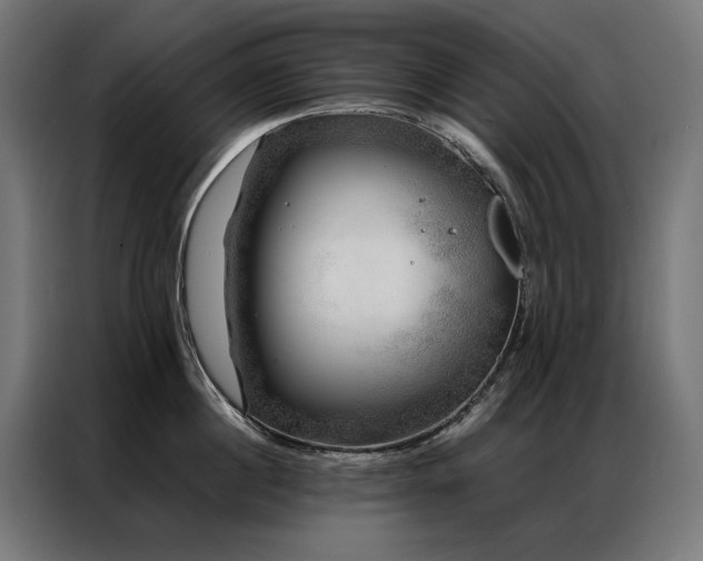 X0000086890860200704161246