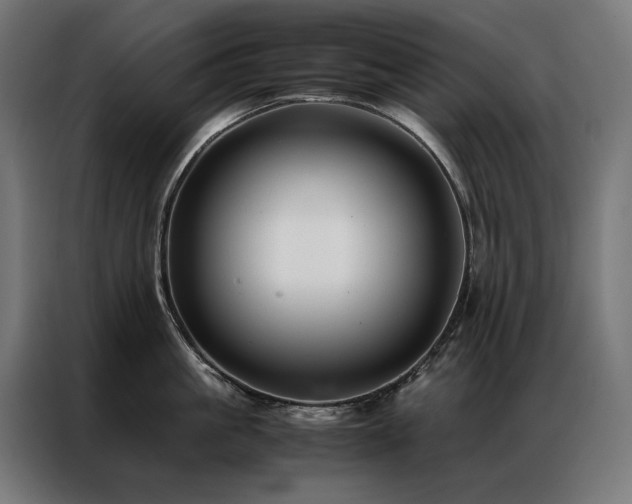 X0000086890861200704161246