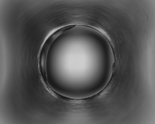 X0000086890862200704161246