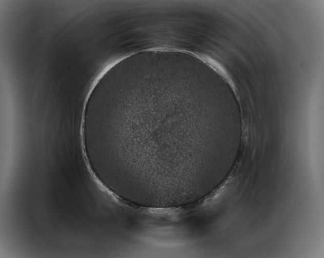 X0000086890863200704161246