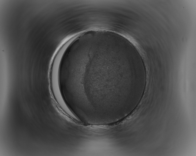 X0000086890864200704161246