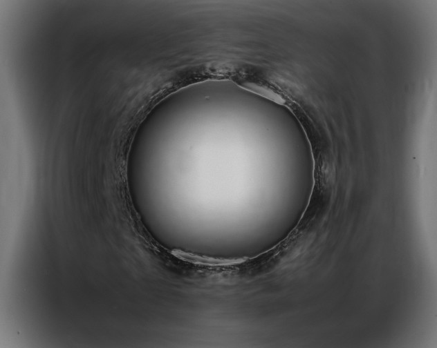 X0000086890865200704161245