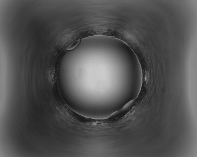 X0000086890867200704161245