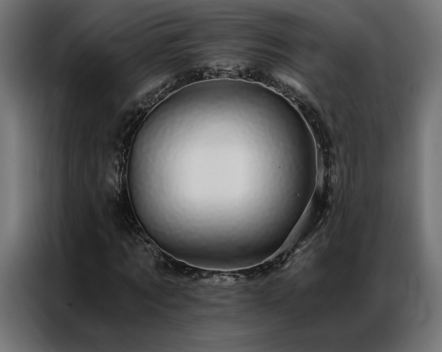 X0000086890869200704161245