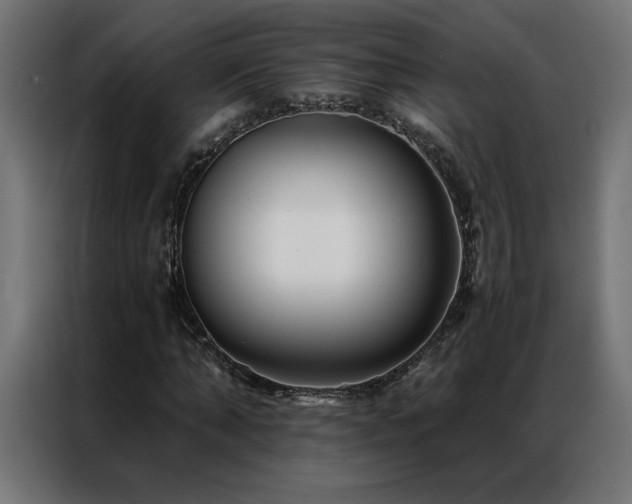 X0000086890870200704161245