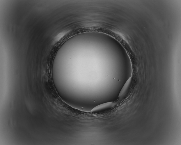 X0000086890871200704161245