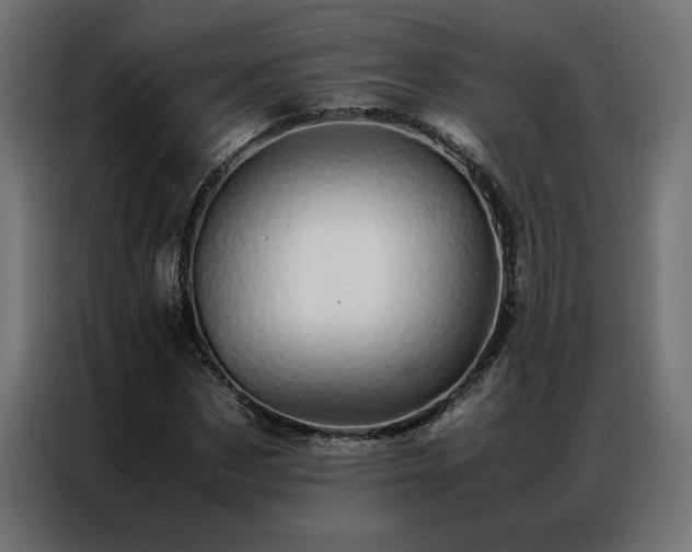 X0000086890873200704161245