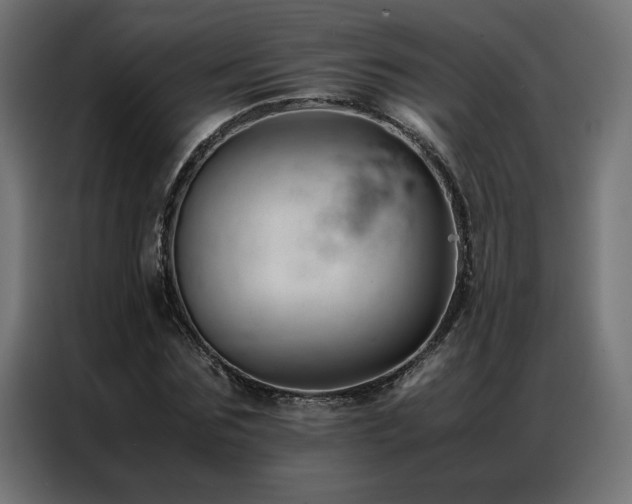 X0000086890875200704161245