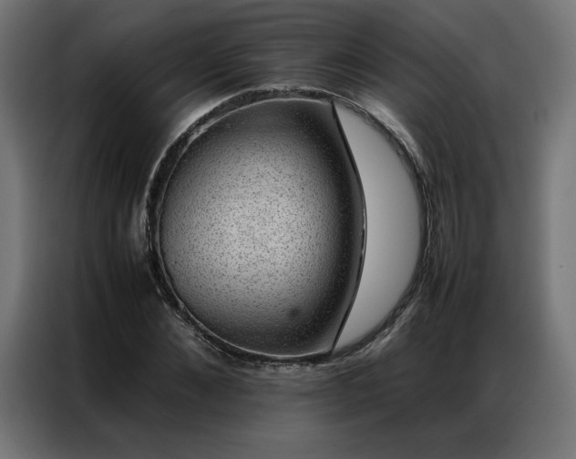 X0000086890876200704161245