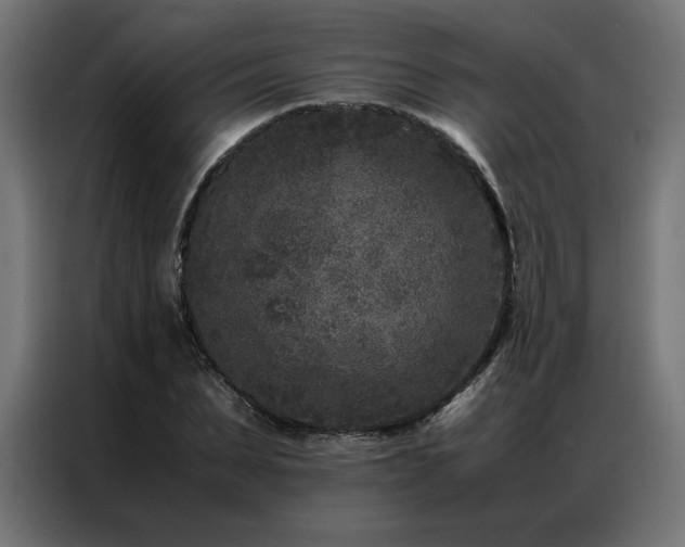 X0000086890879200704161245