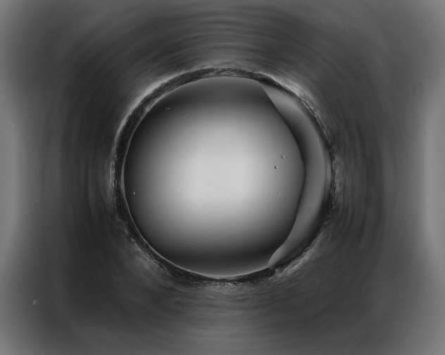 X0000086890880200704161245