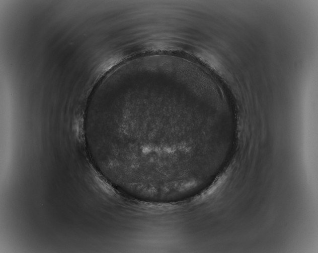 X0000086890881200704161245