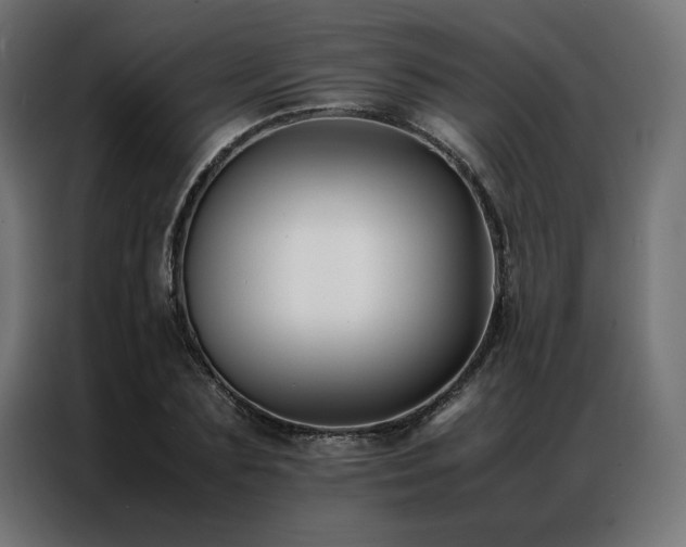 X0000086890883200704161245