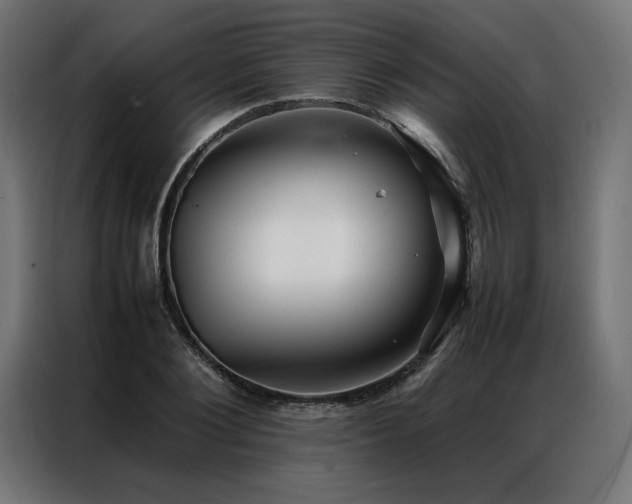 X0000086890884200704161245