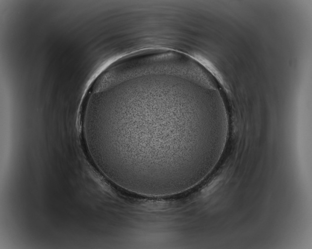 X0000086890885200704161245