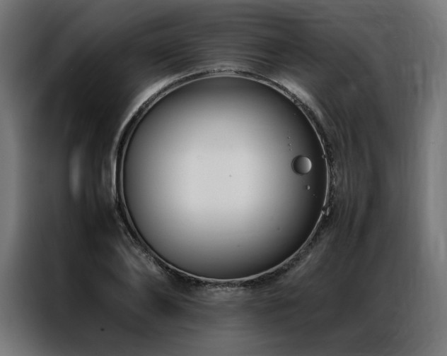 X0000086890886200704161245