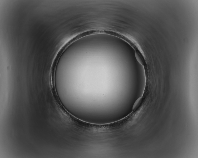 X0000086890887200704161245