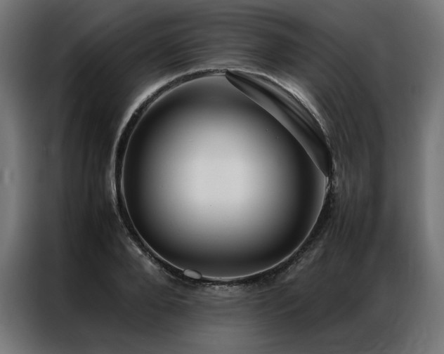 X0000086890888200704161245