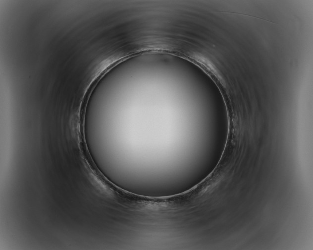 X0000086890890200704161245