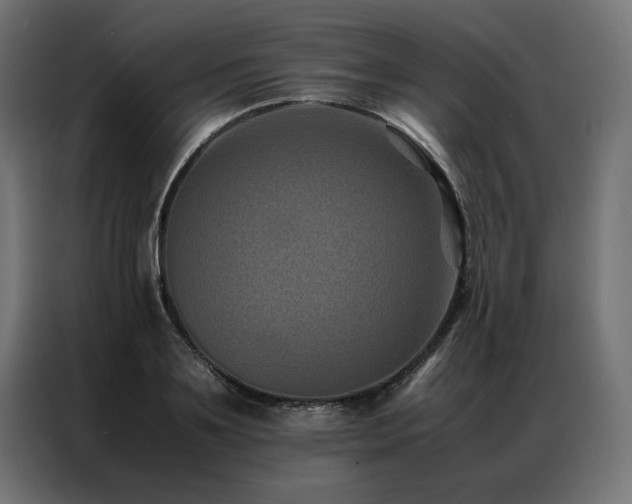 X0000086890891200704161245