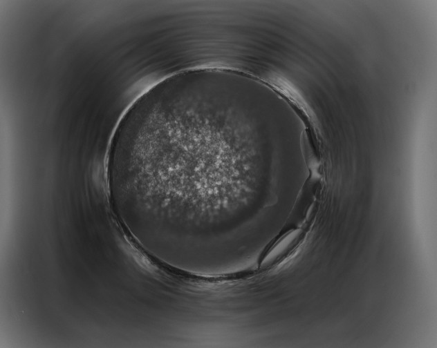 X0000086890892200704161245