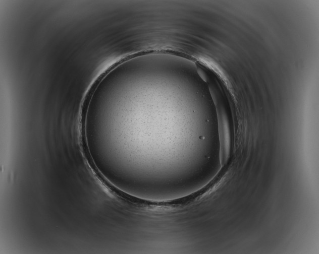 X0000086890894200704161245