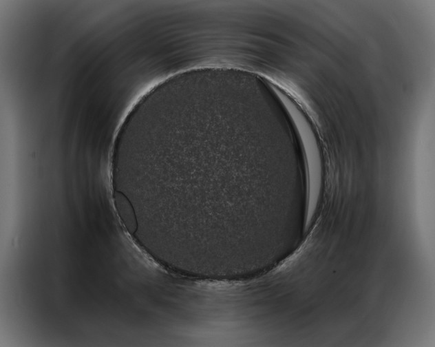 X0000086890896200704161245