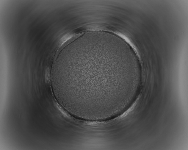 X0000086890897200704161244