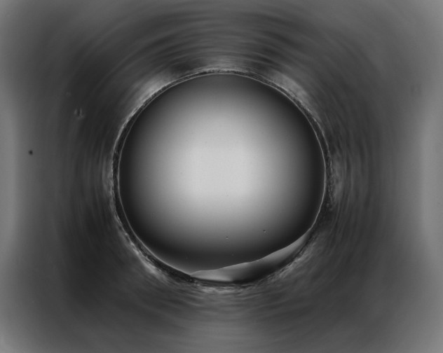 X0000086890898200704161244