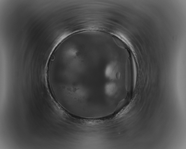 X0000086890899200704161244