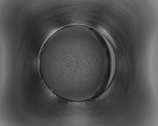 X0000086890900200704161244