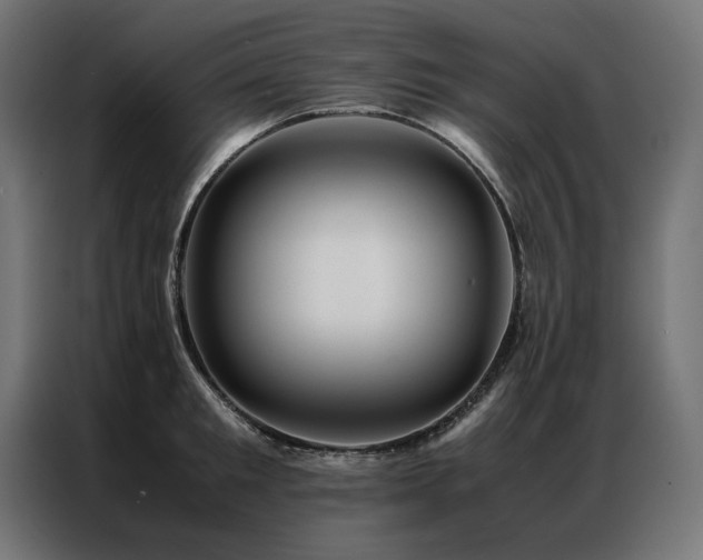 X0000086890901200704161244