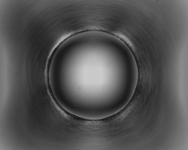 X0000086890902200704161244