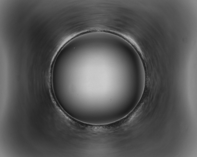 X0000086890903200704161244