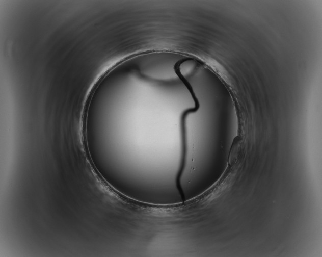 X0000086890904200704161244