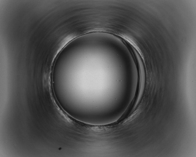 X0000086890906200704161244