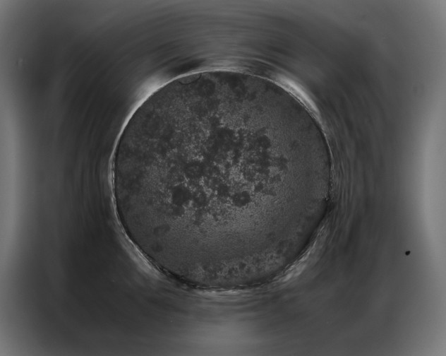 X0000086890907200704161244