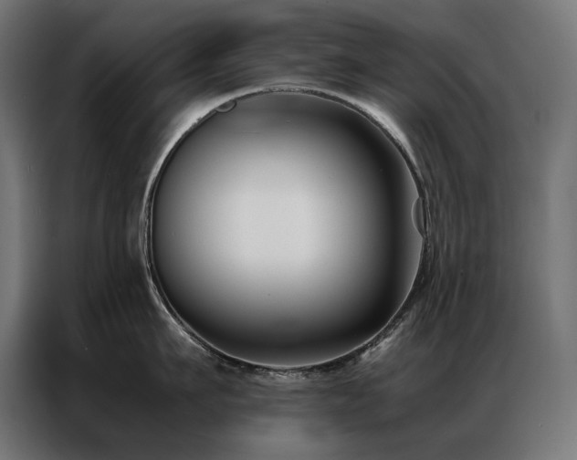 X0000086890911200704161244