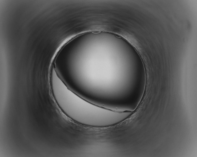 X0000086890912200704161244